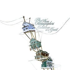 New Pornographers Continue As