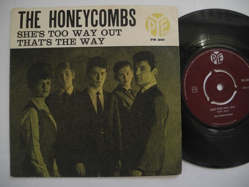 Honeycombs she too way - honeycombs,