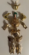 Fish pesci pisces cavalieri - pesci,