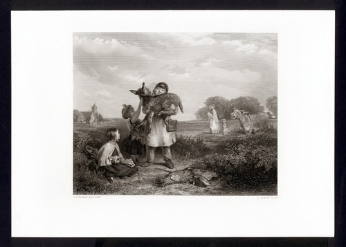 Asinello horsley grande - di,