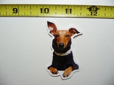 ADESIVO GLAMOUR DOBERMAN