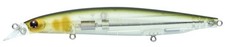 Daiwa Shoreline Shiner Z