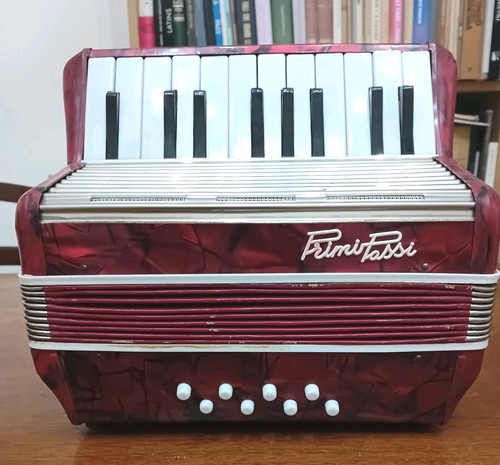Giocattolo fisarmonica - ,