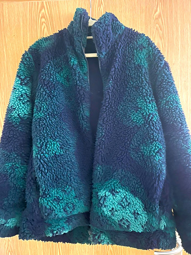 Louis vuitton teddy jacket - louis,