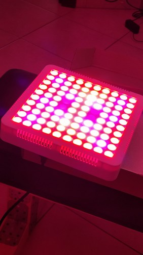 Lumeri sq300 lampada - -, per
