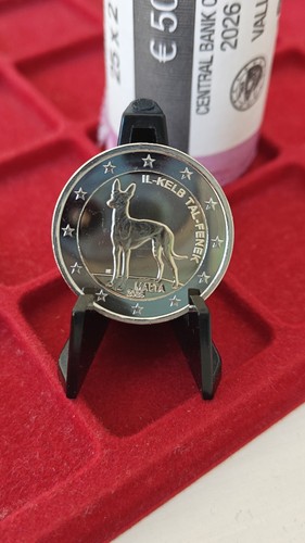 Euro malta cane del faraone - malta,