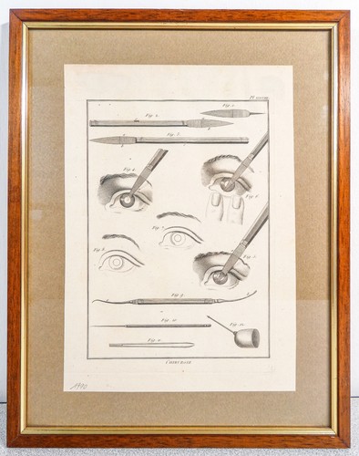 Stampa grafica 1790 - ⚜️,
