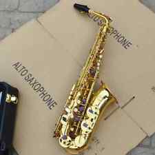Nuovo 669 Sassofono Alto Eb Ottone Strumento Musicale Laccato Oro con Custodia 