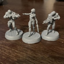 Corvus Belli Infinity nomade