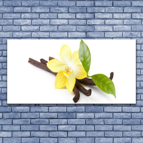 140x70 stampa tela - su,