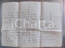 1700 ca AREA VENETA Albero genealogico a stampa - BICOLORE RARO 55x43 cm