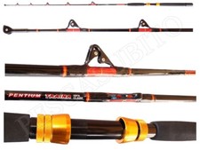 Canna Carrucolata Pentium