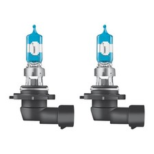 2 Lampadine HB3 12V 60W P20d