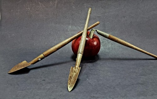 Campione venditore miniatura