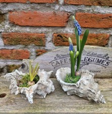 SET 2 CONCHIGLIE FIORIERA