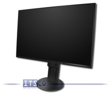 Tft eizo flexscan - 24",
