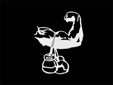 Boxer Boxe Boxe Club Palestra