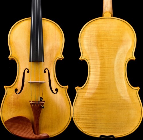 T31 master guarnieri 1743 - guarnieri,