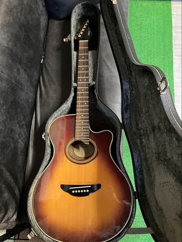 Chitarra elettrica acustica