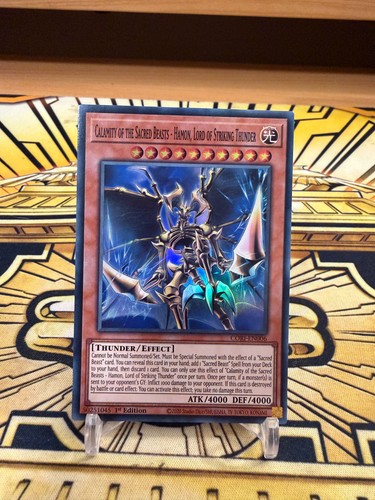Yugioh disastro dei santi - disastro,