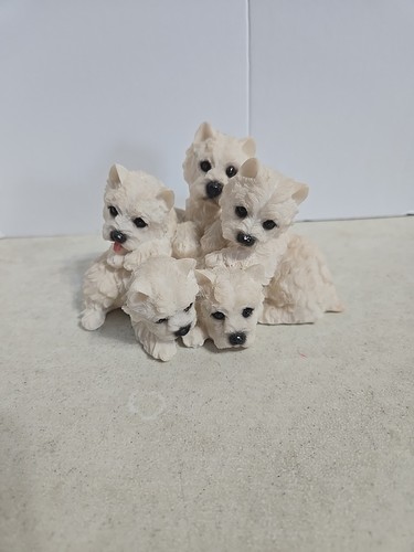 West highland terrier - west,
