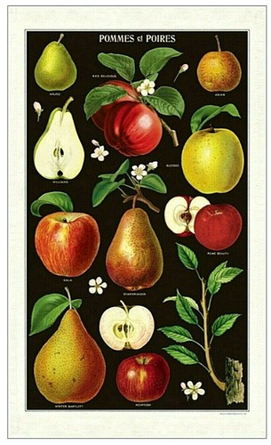 Cavallini asciugapiatti - cavallini,