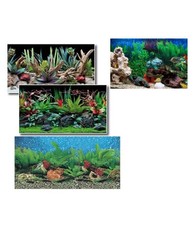 Carta Decorativa Per Acquario