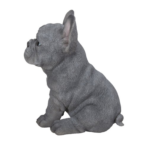 Statua cucciolo bulldog - statua,