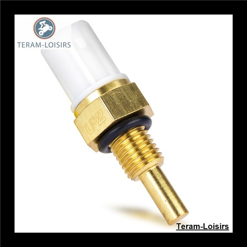 Sonde termostato radiatore per - radiatore,