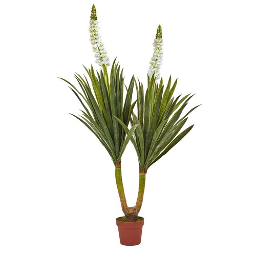 Flowering yucca plant floral - flowering,
