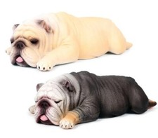 2 pezzi Sleepy Bulldog cane