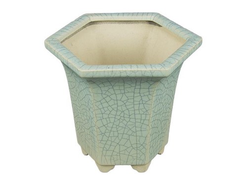 Vaso per bonsai - , esagonale