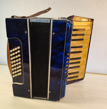 Fisarmonica fisarmonica