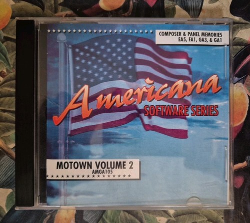 Floppy disk americana serie - americana,