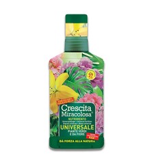 Crescita Miracolosa Universale