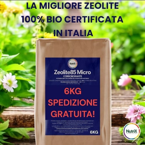 Zeolite pura micronizzata - zeolite,