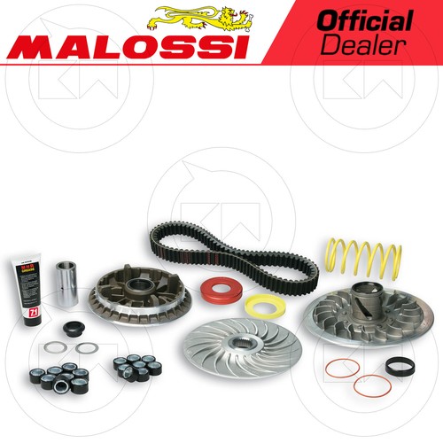 Malossi 6114885 gruppo - malossi,