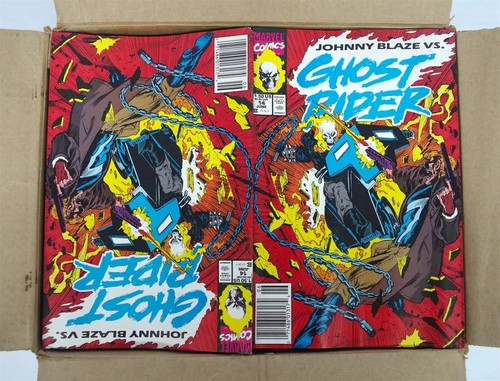 Ghost rider - (x100, copie)