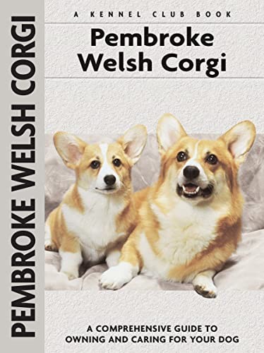 Pembroke welsh corgi - pembroke,