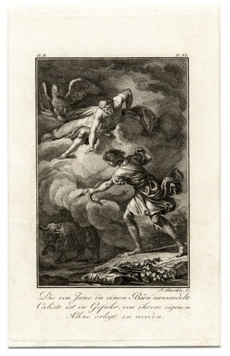 Pericolo per calisto orso - per,