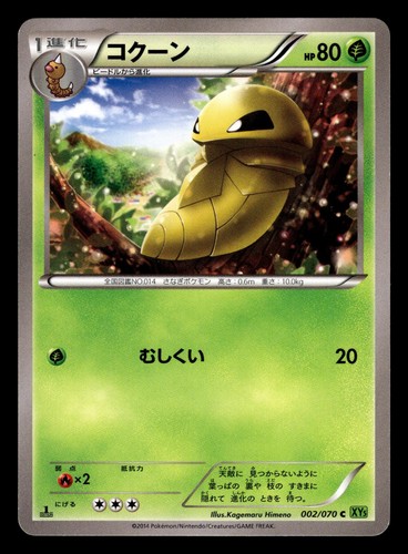 Kakuna 002 070 tempesta - kakuna, di