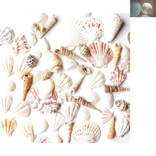 Coastal charm assorted - coastal, charm: