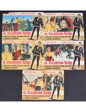 fotobuste IL TULIPANO NERO