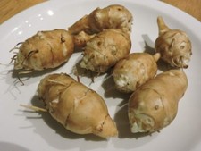 Tartufo Bianco Carciofo di