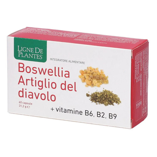 Natura service boswellia - service,