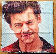 Copricuscino Harry Styles blu