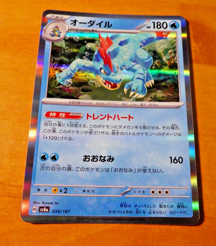 Pokemon japanese holo card - japanese,