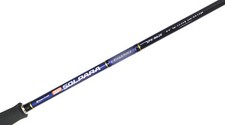 CANNA EGING SP NEW SOLPARA