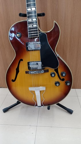 Chitarra elettrica greco - chitarra,