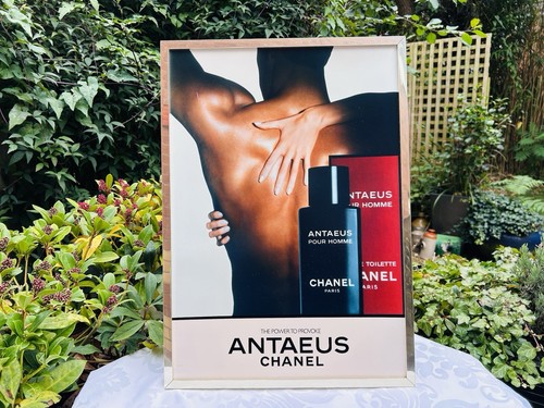 Vintage chanel antaeus - chanel,